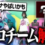 元所属のプロチームが解散した件について…【フォートナイト/FORTNITE】