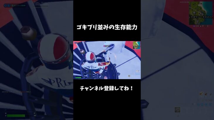 ゴキブリ並みの生存能力【フォートナイト/FORTNITE】