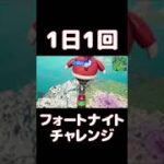 【FORTNITE】1日1回フォートナイトチャレンジ28日目【実況】【#shorts】