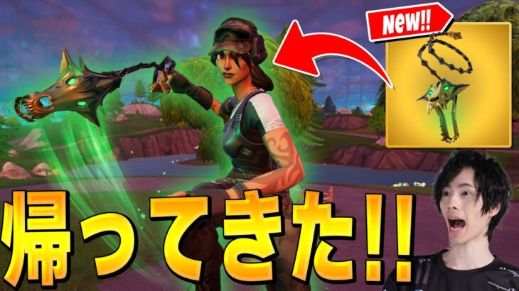 競技からも消された最強の『ハデスの鎖』が帰って来た！？【フォートナイト/Fortnite】