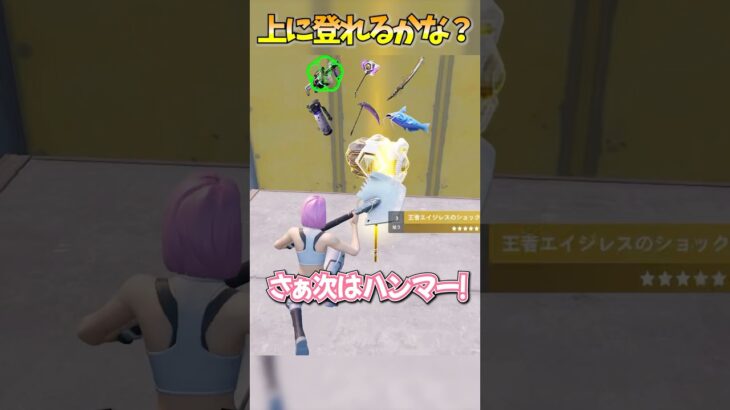 頂上まで登れるのはどれカナ❓❓❓ 【フォートナイト/Fortnite】