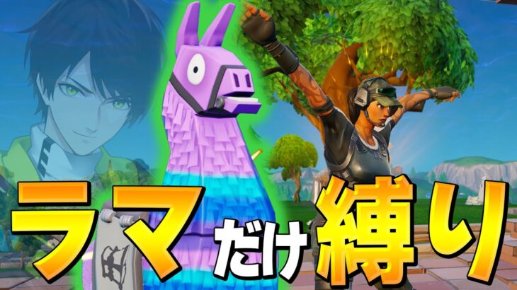 伝説の企画復活！ダマ縛りでビクロイできるのか！？【Fortnite/フォートナイト】
