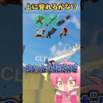 頂上まで登れるカナ⁉️【フォートナイト/Fortnite】