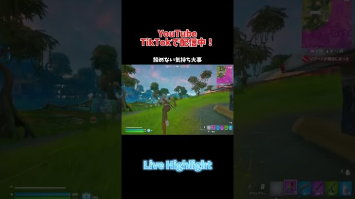 諦めない気持ち大事【Fortnite】