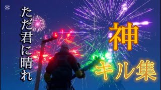 【ただ君に晴れ】フォトナSwitch勢による神キル集