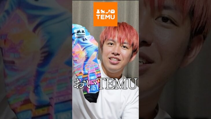 TEMUを許さない。【フォートナイト】