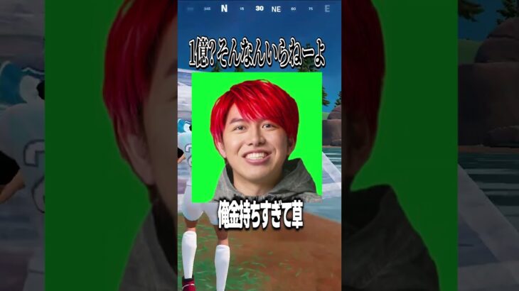 【究極の二択】１億円かフォトナ、どっちを選ぶ？ #fortnite #フォトナ  #フォートナイト#しんく #ミスター