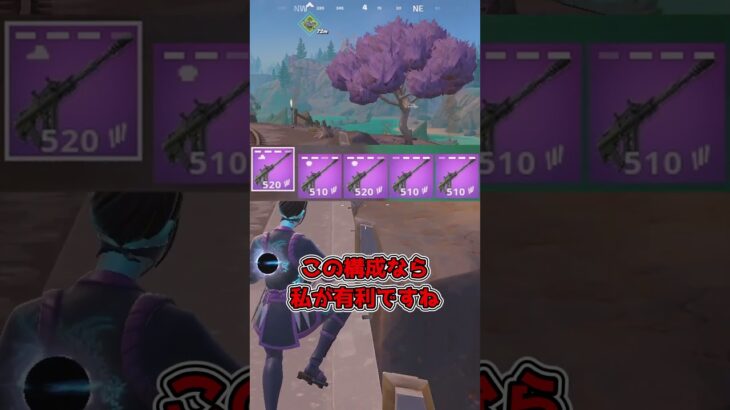 【フォートナイト】バーストライフルを五丁持ちして戦ってみた結果…？【fortnite】【ゆっくり実況】 #fortnite #フォートナイト #ゆっくり実況
