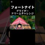 グライダーキャッチチャレンジ　#フォートナイト #fortnite #shorts #チャレンジ #グライダー
