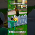 久しぶりに相棒と再会【フォートナイト】#フォートナイト #fortnite #shorts