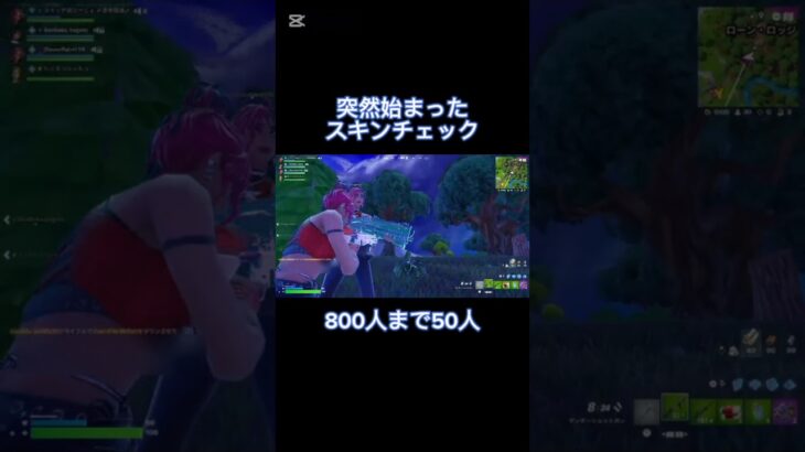 突然始まったスキンチェック#フォートナイト #fortnite #switch勢 #short