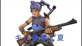 フォトナキル集青と夏やりました