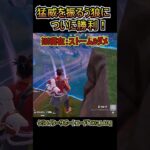 猛威を振るう狼（ストームビースト）に1v1でついに勝利！！#怪獣【フォートナイト/Fortnite】#shorts