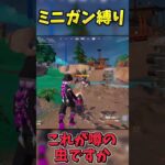 最強の新ミニガン「レッドスピッター3000」縛りでビクロイせよ！！【フォートナイト】 #最新アプデ情報 #フォートナイト #ゆっくり実況