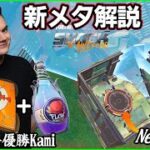 【これが新メタ!!】新環境の立ち回りはどうなる?EU最初の優勝となったKamiの戦術から解説します【フォートナイト】
