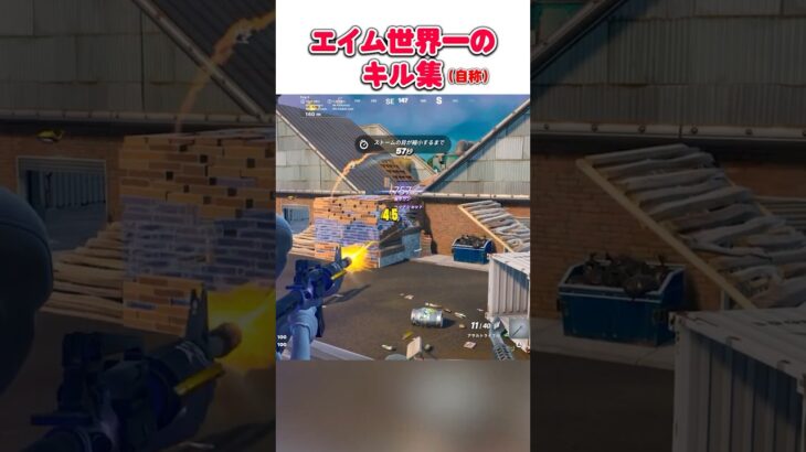 エイム世界一のキル集(自称)　【Fortnite/フォートナイト】 #あおけんゲーム実況 #fortnite #フォトナ #フォートナイト #ふぉーとないと  #神エイム #チート #世界一