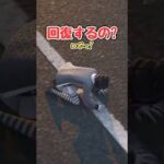 【フォートナイト検証】ダウン中でも回復したい！！【フォートナイト/Fortnite】【ゆっくり茶番】#shorts