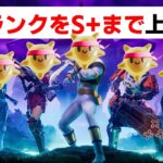 ランクをS+まで上げるチャレンジ【フォートナイト/Fortnite】【縦型配信】