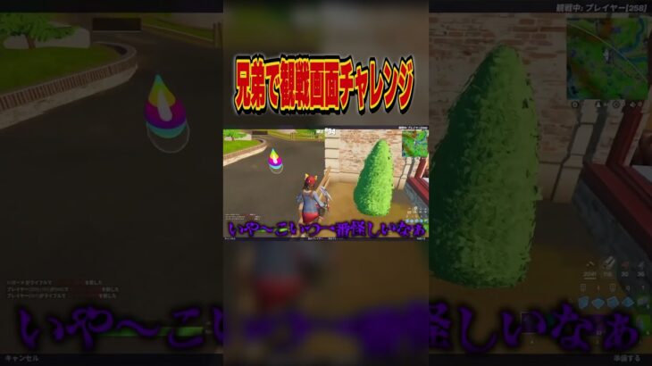 兄弟で観戦画面チャレンジ！#しんく #フォートナイト #フォトナ #fortnite #ビクロイ  #プロゲーマー #ねこくん