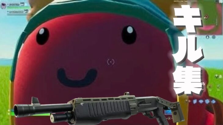 初めての横動画キル集✨（下手だけどね☆）#fortnite #フォートナイト #フォトナ