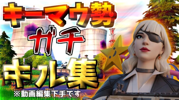 【fortnite】”最新”のリロードでキル集作ってみた結果…