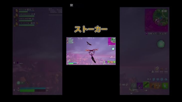 【フォトナ】ストーカー#フォートナイト #フォトナキル集 #フォトナ #fortnite #フォートナイト #フォトナキル集 #fortnite #フォトナ #フォートナイト
