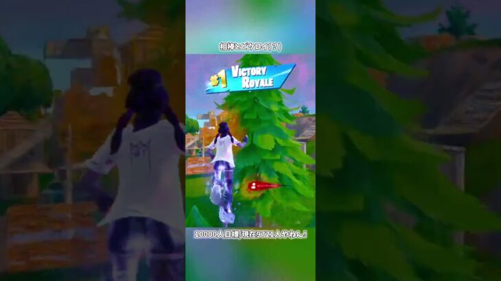 相棒とビクロイ(？)#フォートナイト #fortnite #shorts