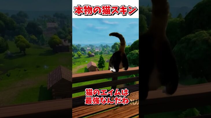本物の猫スキンが凄いんだけど！！【フォートナイト】【ゆっくり実況】【fortnite】【フォトナ】【ふぉとな】#shorts