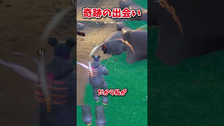 この出会いは奇跡だと思う【フォートナイト/ゆっくり実況/fortnite/ふぉとな/フォトナ】#shorts　#fortnitefunny