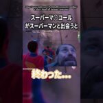 ヒーローは一人でいいのだよ【フォートナイト/ゆっくり実況】