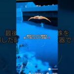 フォートナイト😀ビクロイチャレンジ‼️１１日目継続中‼️仮面取ったら 「私は最強😀」