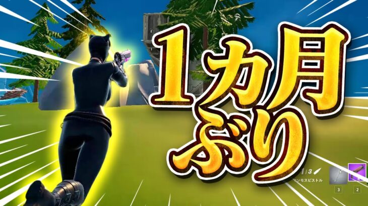 1ヵ月ぶりにざごうと遊ぶまうふぃん【フォートナイト/Fortnite】