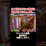 小4「同じスキンの敵だと結構 熱くなるんよな… 【フォートナイト/Fortnite】 #shorts