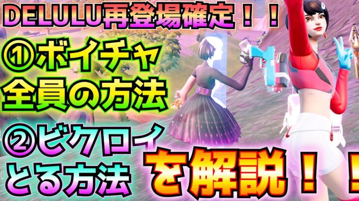 DELULU再登場が確定！！つきましては、①ボイチャの設定を「全員」にできない人向けの解決法②ボイチャなしでソロでビクロイを取るための攻略法などを解説！！【フォートナイト/Fortnite】