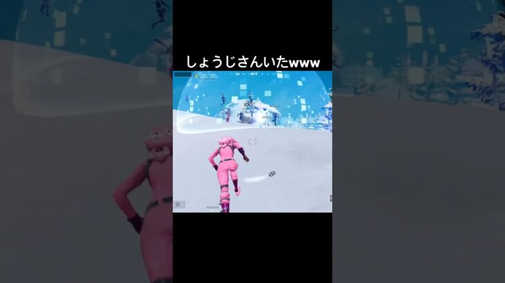 新モード「Delulu」で遊んでたらまさかのしょうじさんと遭遇🤣ごちゃごちゃしててどのスキンかわからないw #フォートナイト #fortnite #ゲーム実況 #shorts