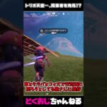 トリオ天空…、同業者を発見！？ #フォートナイト #FORTNITE #天空城 #ゆっくり実況