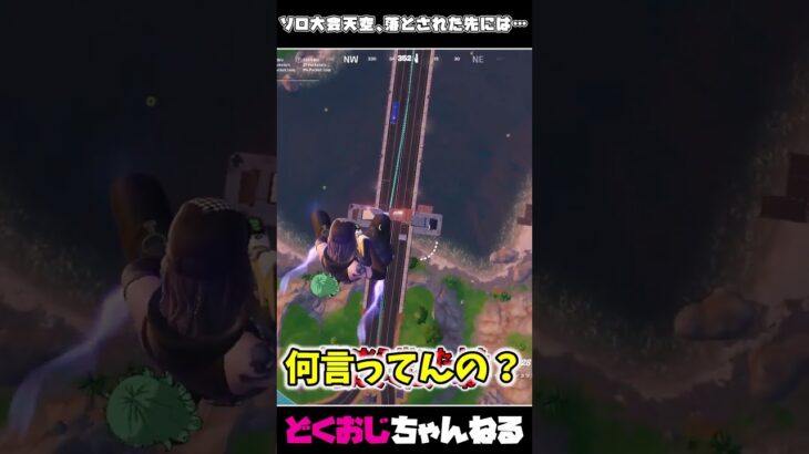 ソロ大会天空、落とされた先には… #フォートナイト #FORTNITE #天空城 #ゆっくり実況