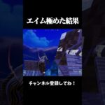 エイム極めた結果【フォートナイト/FORTNITE】