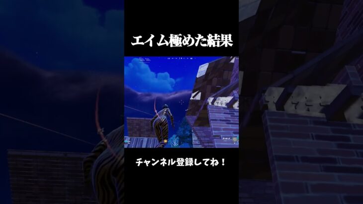 エイム極めた結果【フォートナイト/FORTNITE】