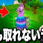 【事件】見えているのに取れないダマちゃんが生まれました【フォートナイト/Fortnite】