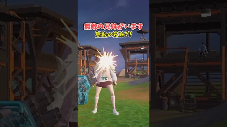 【フォートナイト検証】無敵のNPCに空襲を【フォートナイト/Fortnite】【ゆっくり茶番】#shorts