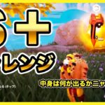 【フォートナイト】中身は何が出る？Sプラスチャレンジでビクロイなるか!?【Fortnite】【マキマキバトル168】