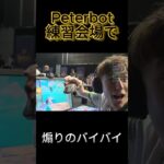 煽りのバイバイ #fortnite #フォートナイト世界大会 #人気になりたい #Peterbot