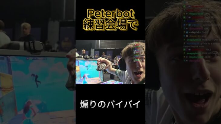 煽りのバイバイ #fortnite #フォートナイト世界大会 #人気になりたい #Peterbot