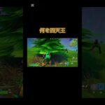 【フォトナ】何を四天王？？#フォートナイト #フォトナキル集 #フォトナ #fortnite #フォトナ #フォートナイト #フォトナ #フォトナキル集 #fortnite #フォートナイト
