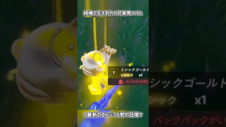 相棒の生き別れの兄弟見つけた【フォートナイト】#フォートナイト #fortnite #short