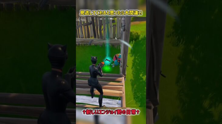 ガフちゃんこれランクだからごめんな…【フォートナイト】#フォートナイト #fortnite #short