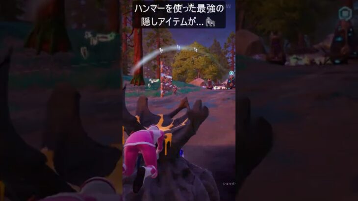 ハンマーを使った最強の隠しアイテムがある…#フォートナイト #fortnite #shorts
