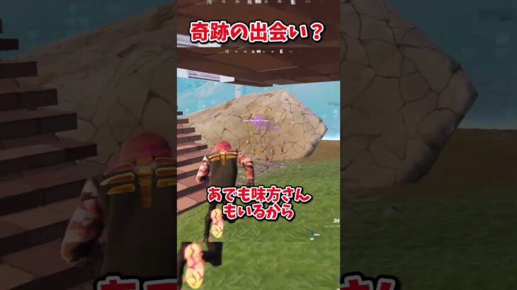 この出会いは奇跡だと思う【フォートナイト/ゆっくり実況/fortnite/ふぉとな/フォトナ】#shorts　#fortnitefunny