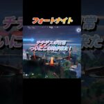 レンジャースキン#フォートナイト#チチデスの日常